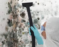 Grizzly Flats, CA Mold Removal Company